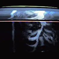 Bones — Blastzone (Зонапоражения) — обложка