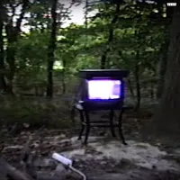 Bones — Branches — обложка